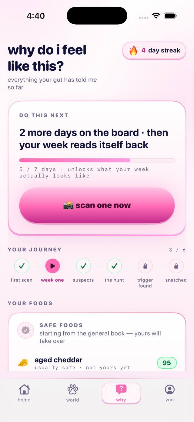 Kiki's why tab — the journey to a found trigger, and foods marked not yours yet
